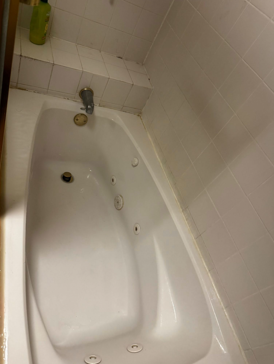 Weekly & Bi-Weekly Cleans